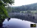 Lochborner Bergwerksteich bei Bieber im Nordspessart, Hessen, (D) (4) 31. Mai 2014.JPG